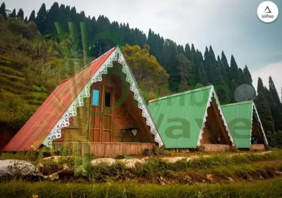 portfolio-64 (2).jpeg